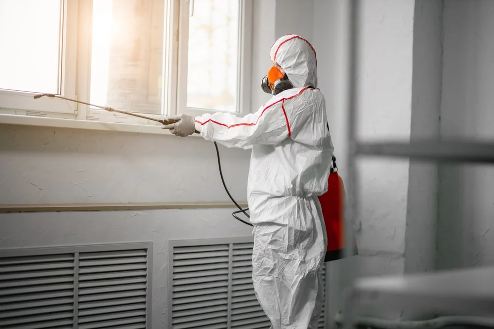 Professional mold remediation services in Milford, CT